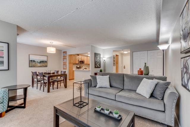 York Plaza Apartments